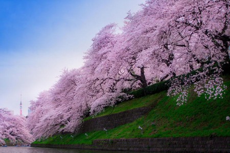 Kurz japončiny 8.lekcia
